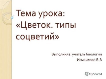 Prezentări pe tema - o floare ( „floare structura funcției de flori) Prezentări pe tema - flori