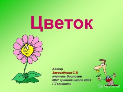 Prezentări pe tema - flori (păsări casa floare) Prezentări pe tema - flori
