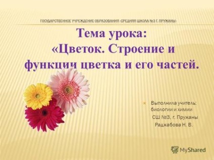 Prezentări pe tema - flori (pasăre floare floare) Prezentări pe tema - flori
