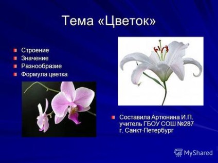 Prezentări pe tema - o floare ( „funcție de structura de flori) Prezentări pe tema - flori