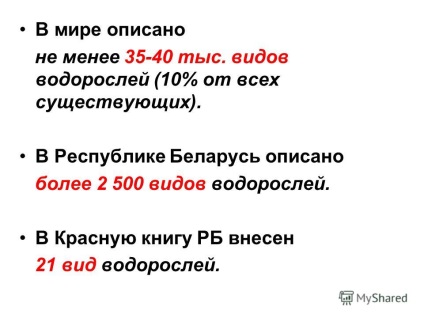 Prezentarea pe Ficologie - știința algelor (știință) Prezentarea pe Ficologie - știința algelor
