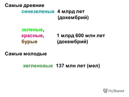 Prezentarea pe Ficologie - știința algelor (au). Prezentarea pe Ficologie - știința algelor