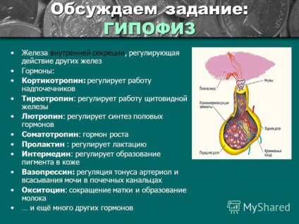 Prezentarea privind rolul hormonilor în metabolismul, creșterea și dezvoltarea organismului de biologie clasa 8 (hormoni) Prezentarea privind rolul hormonilor în metabolismul, creșterea și dezvoltarea clasei de biologie organismului 8
