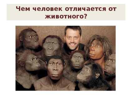 Prezentarea pe ceea ce ne face umani (prezentarea de Studii Sociale) Prezentarea pe ceea ce ne face umani