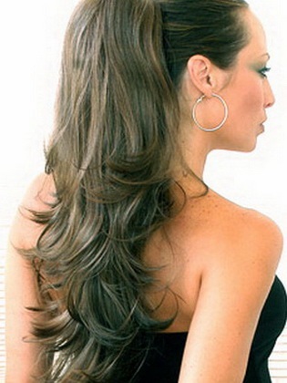 Coada Hairstyle (coadă) coada coafura