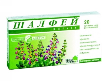 Utilizarea de plante salvie - instrucțiunile de utilizare în interior, contraindicații (iarbă) Utilizarea de plante salvie - instrucțiuni pentru utilizare în interior, contraindicații