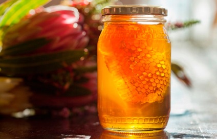 produse alimentare, prelungirea și conservarea de tineret este competent pentru sănătate pe ilive (produse pentru tineret) produse alimentare, prelungirea și conservarea de tineret este competent pentru sanatate pe ilive