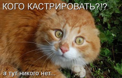Psihologia umorului (umor) Psihologia umorului
