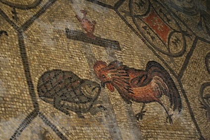 Primii simboluri creștine din pește, crin, ancora, pelican, etc (Pelican) Primele simboluri creștine de pește, crin, ancora, pelicanul, etc.