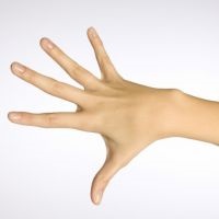 Întinzându mușchii mâinii - tratament (musculare) Întinzându mușchii mâinii - Tratamentul