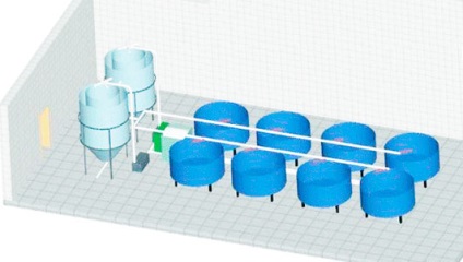 Cresterea sturionilor, producția de afaceri (creștere) Cresterea sturionilor, de producție de afaceri