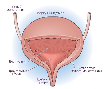 Cauzele Reflux ureter, simptome si metode de tratament (metode) Ureteral reflux cauze, simptome și tratamente