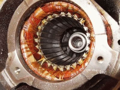 Repararea polizoare cu repararea lor motor mâini (reparații) Repararea polizoare cu repararea lor motor mâini