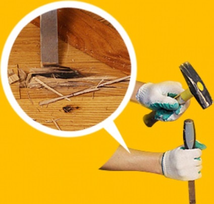 Restaurare de parchet cu propriile sale mâini, portalul de construcție (parchet) Restaurare de parchet cu propriile sale mâini, portal de construcție