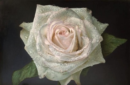 Trandafiri la pictura zori hiperrealism (pictură) Rose în zori picturi hiper-realiste