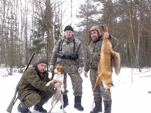 Hound rus (Hound) Hound rus