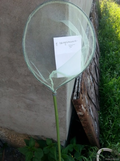 Butterfly net (net) Net pentru fluturi