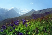 Sanatoriul Gorny Altai și teritoriul Altai cu rate de tratament pentru 2017 (bilete) Sanatoriul Gorny Altai și teritoriul Altai cu rate de tratament pentru 2017