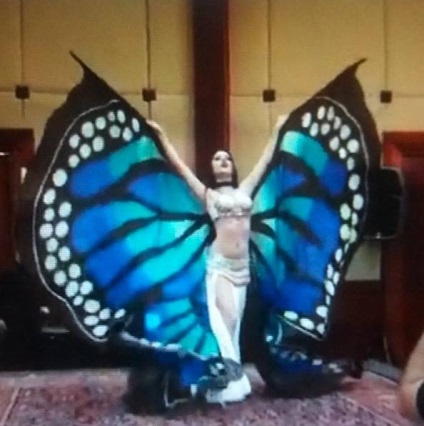 aripi de fluture de mătase pentru dans burtă (burtă dans NOU) aripi de fluture de mătase pentru dans din buric