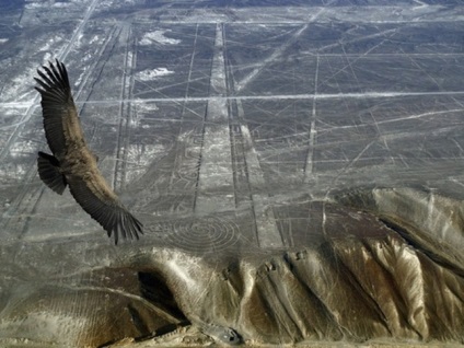 Simbolul Eagle în șamanism (Eagle) Simbolul Eagle în șamanism