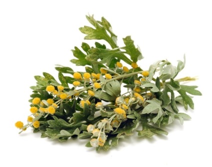 Vânătăi după masajul anti-celulita - acest lucru este normal (masaj) Vânătăi după masajul anti-celulita - acest lucru este normal