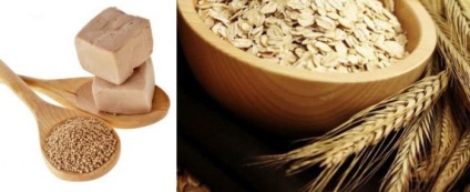 Sirop beta glucan proprietăți, aplicare și feedback (beta) Sirop beta-glucan proprietăți, aplicații și recenzii