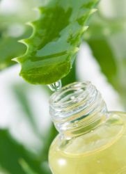 suc de aloe de la rinita (aloe) suc de aloe de la o răceală