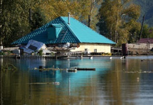 Tsunami vis vis interpretare ce vis (ce) vis interpretare tsunami vis ce vise