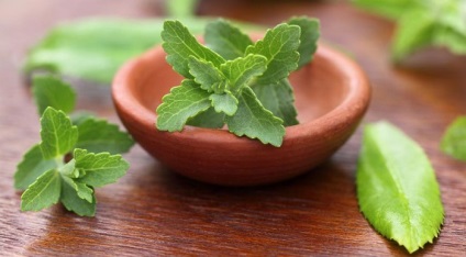 Stevia este un substitut natural de zahăr pentru pierderea in greutate - beneficii și a efectelor nocive, Clinica slav