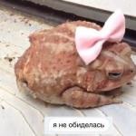 În cazul în care ați cumpărat-o oglindă utilizat (cumpărare) Ar trebui să vă cumpărați o oglindă b