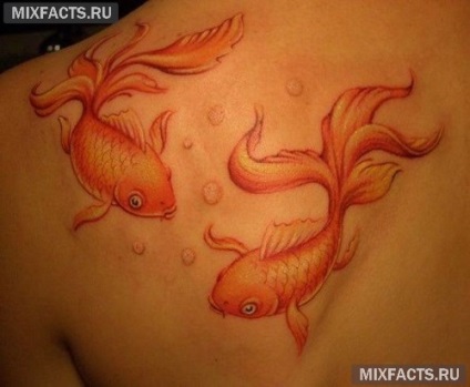 Pește sensul tatuaj și fotografii (pește) Pește sensul tatuaj și fotografii