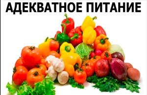 la testele de putere (Dr.) la testele alimentare