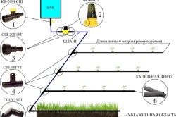 Tehnologia de irigare prin picurare în seră (picurare) Tehnologia de irigare prin picurare în sere