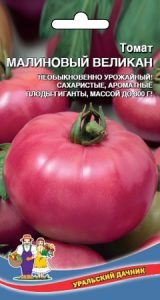 Tomate gigant descriere soiuri de zmeura, comentarii, fotografii (tomate) Tomate Descriere soiuri gigant zmeură, recenzii, fotografii