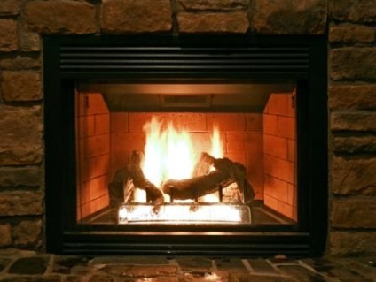 Combustibil pentru seminee bio cu mâinile lor (combustibil pentru seminee bio cu mâinile lor) Combustibil pentru seminee bio cu mâinile lor