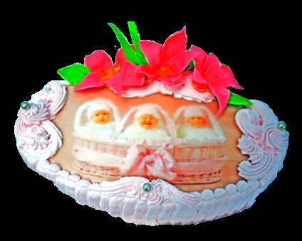 fotografie Tort (tort) Tort cu fotografii