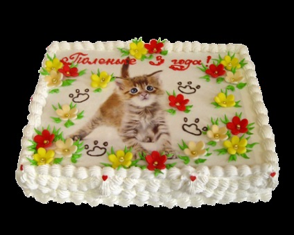 Cake o fotografie (fotografie) Tort cu fotografii