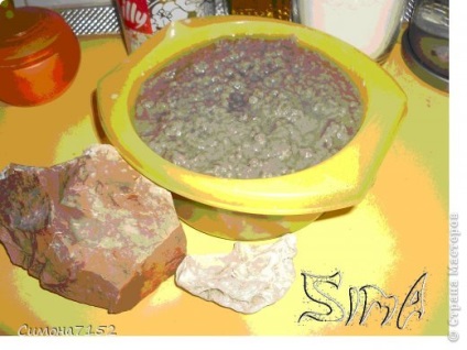 Vom crea o papier - mache (papier) Vom crea o papier - mache