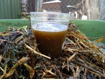 Fertilizator pentru ceapă, usturoi (usturoi, ceapă îngrășămînt) Fertilizator pentru ceapă, usturoi