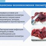 Inflamat pisica pe buza si mirosul respingător al limbii decât de vindecare, de stomac, bărbie, nas, sub coada (mirosul) Inflamat pisica pe buza si mirosul respingător al limbii decât de vindecare, de stomac, bărbie, nas, sub coada