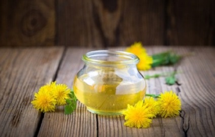 Blocaj de păpădia utiliza, proprietăți medicinale, posibilul efect dăunător (Sarcina) Blocaj de păpădia utiliza, proprietăți medicinale, posibilul efect dăunător