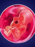 Greutatea fatului de săptămâni de gestație (sarcină) greutate fetală de săptămâni de sarcină