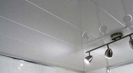 Alegerea unui decor baie din material plastic, mobilier, accesorii (baie) Alegerea unui decor camera de baie din material plastic, mobilier, accesorii