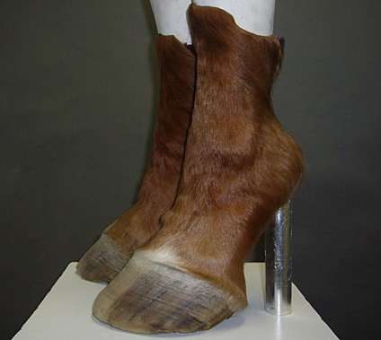 muzeu virtual de pantofi de designer (nunta) pantofi de designer muzeu virtual