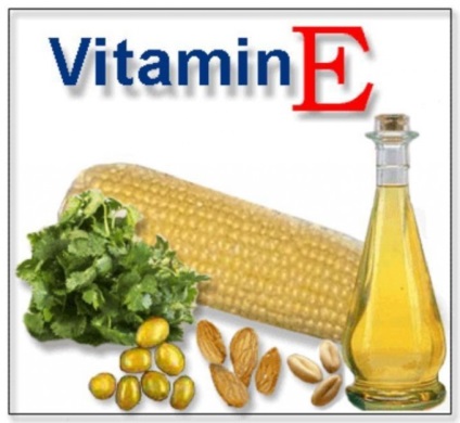 Vitamina E - Vitamina tineret (cum să bea vitamina E) Vitamina E - Vitamina tineret