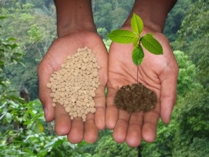 Vitamine pentru plante pentru (vitamine) Vitamine pentru plante la