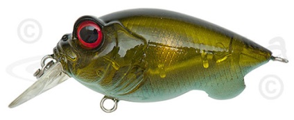 Momeli MegaBass (MegaBass) - gama de produse, prețuri, în cazul în care pentru a cumpăra, comentarii pescari (wobblers director MegaBass) Momeli MegaBass (MegaBass) - gama de produse, prețuri, în cazul în care pentru a cumpăra, pescarii adevărați