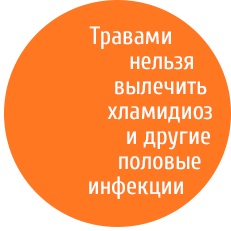 remedii de tratament Chlamydia populare (mijloace) remedii populare de tratament Chlamydia