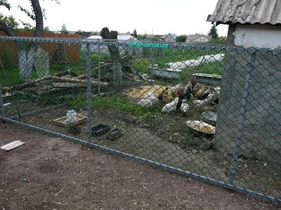Gard din plasa de plastic (gard de plasă de plastic) Un gard din plasă de plastic