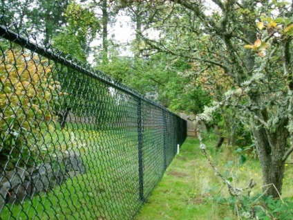 gard de plasă de plastic cu mâinile lor (foto) (gard) gard de plasă de plastic cu mâinile lor (foto)